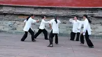 逍遥谷武当功夫汇演