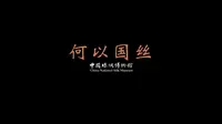 【中国丝绸博物馆】何以国丝