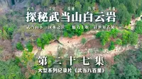 【武当八百里•第二十七集《探秘武当山白云岩》】