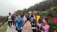 探秘四川南充大河镇：粮油柑橘产业的乡村振兴实践