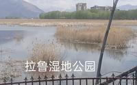 拉萨之肺：拉鲁湿地。