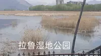 拉萨之肺：拉鲁湿地。