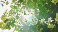 厦大有一万次的春和景明，书写的是向上的生命