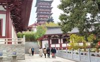 合肥紫蓬山风景区，山上有千年西庐寺环境特别好