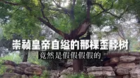 景山公园攻略｜崇祯皇帝在景山自缢的那棵歪脖树，原来是假的！