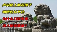 卢沟桥上的石狮子，明明纹丝不动，为什么几百年来没人能够数清？