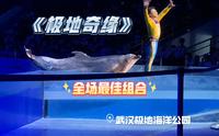 武汉极地海洋公园必看演出《极地奇缘》
