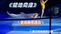 武汉极地海洋公园必看演出《极地奇缘》