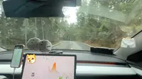 ［副驾视角］沪牌特斯拉勇闯无充电桩山区（溆浦山背花瑶梯田景区下山）