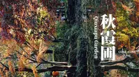 上海·秋霞圃：灿烂的秋天总会离开，但我们要等她回来