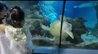 南昌海洋公园值得一去嘛？快来一起看看吧