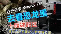 去十堰市郧阳区青龙山恐龙蛋化石群国家地质公园