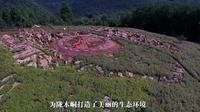 《小村寨里大文章》传奇陇木峒，中国积极境教第一村！湘西州保靖县陇木峒村欢迎你！