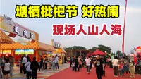杭州塘栖枇杷节开幕了，有吃有玩好热闹，现场人山人海