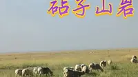 达里湖北岸一砧子山岩画