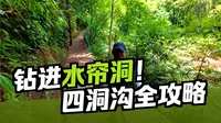 贵州赤水这个4A景区：4公里藏着4座瀑布，26℃的夏天还能穿越水帘洞，30块钱的门票太划算了