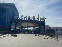 鄂尔多斯野生动物园～