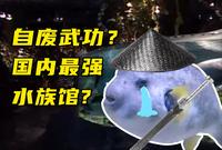 自废武功！绝世高手缘何沦落如此？- 曾经的北京海洋馆