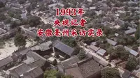 1993年央视记者安徽亳州采访实录（曹操地下运兵道）
