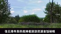 江苏省连云港市东海县青松岭森林公园露营 温泉 两天沉浸式体验！大家来哦！林场很大 有湖 有溪流 有森林 有草地！大的很！不要炭烤烧烤来哦！保护森林资源。