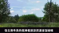 江苏省连云港市东海县青松岭森林公园露营 温泉 两天沉浸式体验！大家来哦！林场很大 有湖 有溪流 有森林 有草地！大的很！不要炭烤烧烤来哦！保护森林资源。