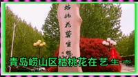 青岛崂山枯桃花艺园