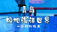年卡用户告诉你青岛极地海洋公园怎么玩