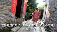 广漂夫妻10分钟逛完烟桥古村，差点被狗咬