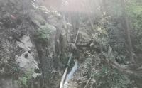 带大家抄小路进厦门植物园，翻山越岭，直达花卉园