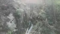 带大家抄小路进厦门植物园，翻山越岭，直达花卉园