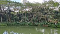 走进兴隆热带植物园