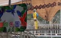 曼听公园～鹦鹉🦜乐园