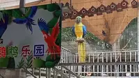 曼听公园～鹦鹉🦜乐园