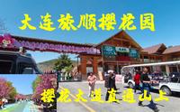 旅顺203樱花园鲜花盛开如画，发现大片新建园区，后年能建好吗
