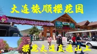 旅顺203樱花园鲜花盛开如画，发现大片新建园区，后年能建好吗