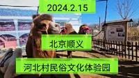 2024.2.15北京顺义《河北村民俗文化体验园》，《河北村民俗园》疯狂深度游！一起传播正能量！希望这个视频能帮助到更多的人！