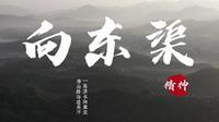 观澜 · 福见 | 一条渠，半世纪......向东渠水何以奔流不息？