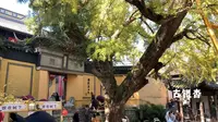 江苏无锡惠山寺禅音