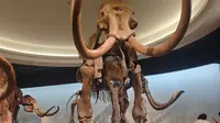 大庆博物馆！
