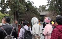 2020年12月11日陕西省延安市黄陵县，黄帝陵景区随拍第一段。