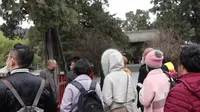 2020年12月11日陕西省延安市黄陵县，黄帝陵景区随拍第一段。
