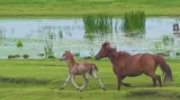 杜尔伯特阿木塔自驾游。