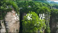 张家界之袁家界