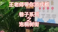 王老师带你游成都巷子系列——泡桐树街
