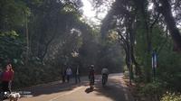 石花山公园漫步[4K60帧]