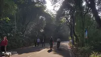 石花山公园漫步[4K60帧]