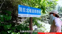 青州北崔崖风景区精心打造的“青州秘境，绿野仙踪”惊艳登场