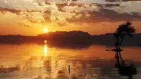 云南昆明捞鱼河湿地公园4K日落延时