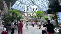 挤在2万㎡里的国家宝藏：中国国家自然博物馆