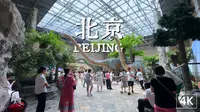 挤在2万㎡里的国家宝藏：中国国家自然博物馆